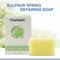 RSPO Body Bath Organic Lavender Soap Luxury Perfume Plant Essential Oil Làm trắng da